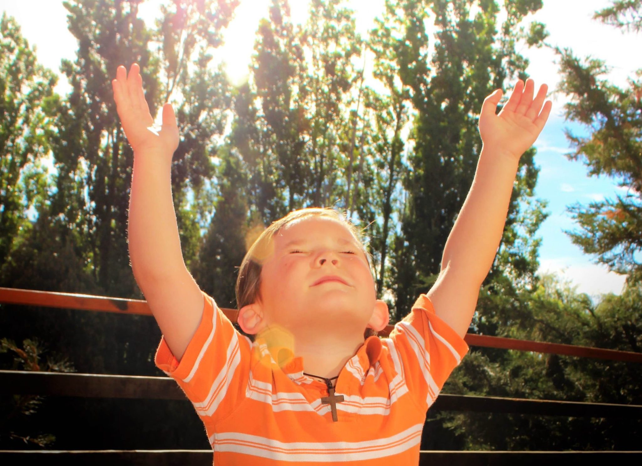 Celebrate His Goodness